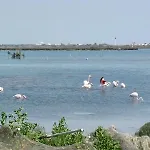 De Pêcheurs